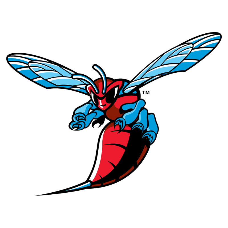 Delaware State Hornets iron ons